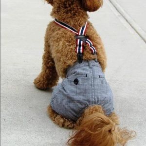Dog pants with suspenders